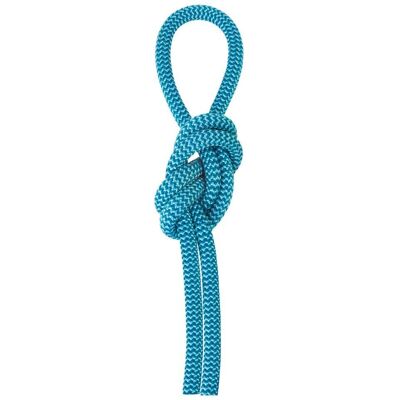Salewa Dubbellina 7,9mm Blå - Klättring Salewa Dubbellina 7,9mm Blå - Klättring
