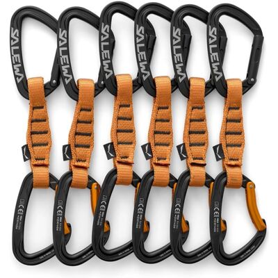 Salewa Ortles Modell 110 Schnellkarabiner - Schnellkarabiner Salewa Ortles Modell 110 Schnellkarabiner - Schnellkarabiner