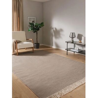 Tapis Liv Gris Clair - Style Classique 170x240cm - Publicité Tapis Liv Gris Clair - Style Classique 170x240cm - Publicité