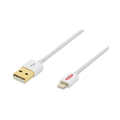 Câble Lightning Ednet 31021 - 1m Blanc - Câble USB - Publicité Câble Lightning Ednet 31021 - 1m Blanc - Câble USB - Publicité