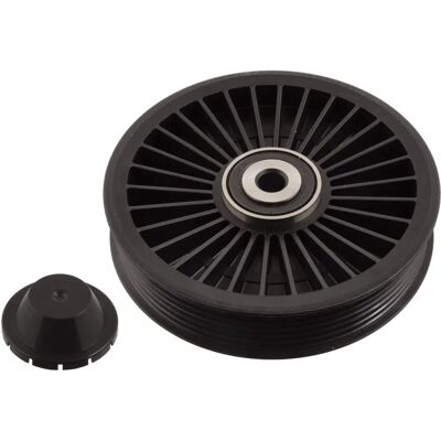 FEBI BILSTEIN 102580 Spännroll - Spännroll FEBI BILSTEIN 102580 Spännroll - Spännroll