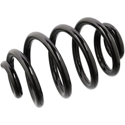 FEBI BILSTEIN fjedre - Bagaksel, 244mm, 5,8 fjedre FEBI BILSTEIN fjedre - Bagaksel, 244mm, 5,8 fjedre