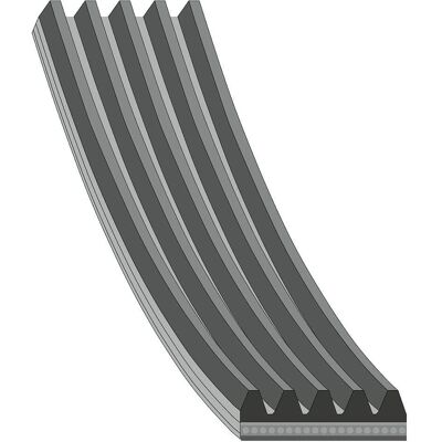 Febi Bilstein 3c145933a Poly-V Bälte - Poly-V Bälte Febi Bilstein 3c145933a Poly-V Bälte - Poly-V Bälte