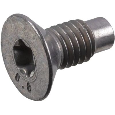 Febi Bilstein Bremsscheibe Schraube - Renault Mégane, Scenic, Clio, Trafic, Kangoo, Classic Febi Bilstein Bremsscheibe Schraube - Renault Mégane, Scenic, Clio, Trafic, Kangoo, Classic