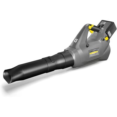 Kärcher LB 930/36 BP Akku-Laubbläser - Laubsauger & Bläser Kärcher LB 930/36 BP Akku-Laubbläser - Laubsauger & Bläser