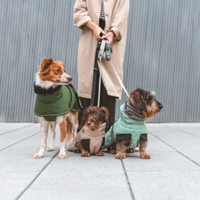 Manteau Nomad Tales Bloom Classic pour chien - 60cm - Imperméable, Chaud, Réfléchissant Manteau Nomad Tales Bloom Classic pour chien - 60cm - Imperméable, Chaud, Réfléchissant