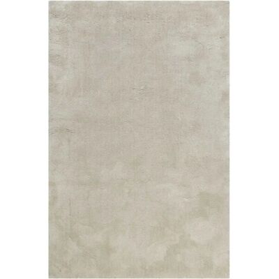 Wecon Home Beige/Grey Tapis Moderne à Poil Long - Tapis - Publicité Wecon Home Beige/Grey Tapis Moderne à Poil Long - Tapis - Publicité