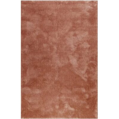 Tapis à poil haut Esprit marron - Tapis salon - Publicité Tapis à poil haut Esprit marron - Tapis salon - Publicité