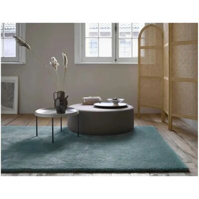 Tapis à poils longs Esprit vert - Tapis salon - Publicité Tapis à poils longs Esprit vert - Tapis salon - Publicité
