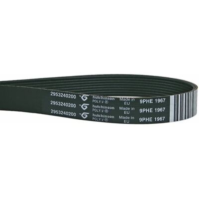 Brandt Modèle 97464-22391 Courroie de Sèche-linge - Compatible avec plusieurs marques Brandt Modèle 97464-22391 Courroie de Sèche-linge - Compatible avec plusieurs marques