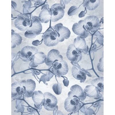 KOMAR Orchidee Blumen Tapete - Vlies - 200x250cm - Wand Dekor KOMAR Orchidee Blumen Tapete - Vlies - 200x250cm - Wand Dekor