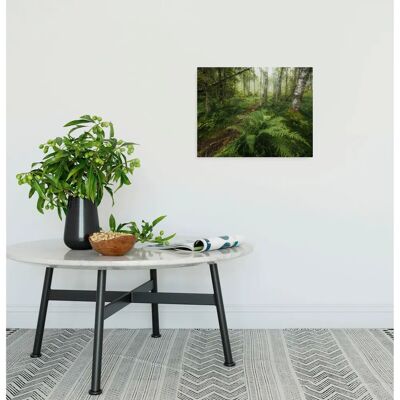 KOMAR Mystic Birch Grove 40 x 30 cm - 2 cm - Landschaft - Leinwandbild KOMAR Mystic Birch Grove 40 x 30 cm - 2 cm - Landschaft - Leinwandbild