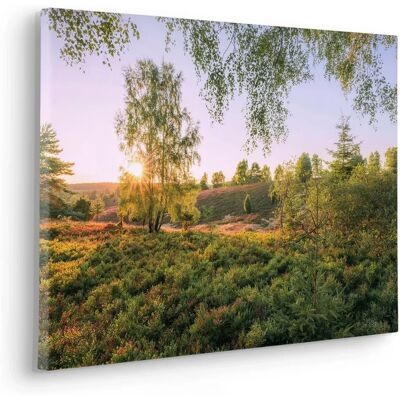 KOMAR Sommerabend Bunt Keilrahmenbild - Leinwandbild KOMAR Sommerabend Bunt Keilrahmenbild - Leinwandbild