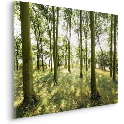 KOMAR Dänische Buchen Leinwandbild - Landschaft KOMAR Dänische Buchen Leinwandbild - Landschaft