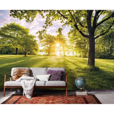 KOMAR Golden Moment Wandbild - 400x250cm KOMAR Golden Moment Wandbild - 400x250cm