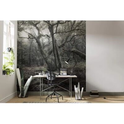 KOMAR Mural de Pared - Escena Natural, 250x280cm KOMAR Mural de Pared - Escena Natural, 250x280cm
