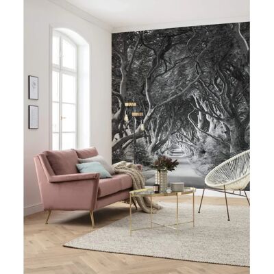 KOMAR Waldtapete - 250x280 cm - Realistisches Waldmotiv KOMAR Waldtapete - 250x280 cm - Realistisches Waldmotiv