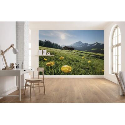 KOMAR Alpenglück Tapete - 400x280cm, Bunt, Vlies KOMAR Alpenglück Tapete - 400x280cm, Bunt, Vlies