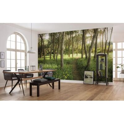 KOMAR Foresta Incantata - Carta da Parati 450x280cm - Soggiorno/Camera da letto KOMAR Foresta Incantata - Carta da Parati 450x280cm - Soggiorno/Camera da letto