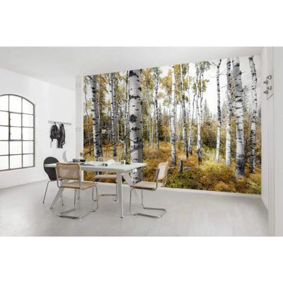 KOMAR Colorful Aspenwoods Tapete - 450x280cm - Naturszene KOMAR Colorful Aspenwoods Tapete - 450x280cm - Naturszene