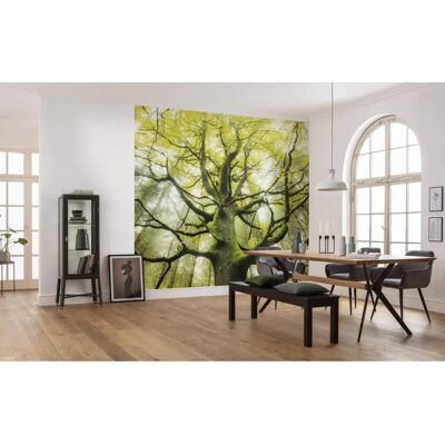 KOMAR Mural Verde Bosque - Escena Natural KOMAR Mural Verde Bosque - Escena Natural