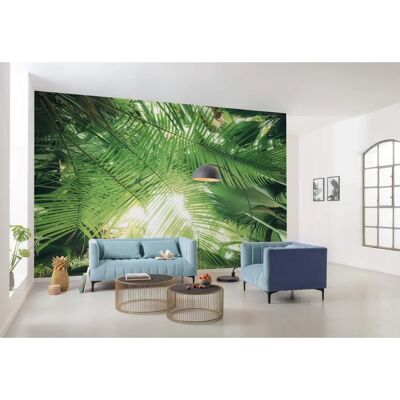 KOMAR Tetto della Foresta Murale - 450x280cm - Verde - Carta da Parati KOMAR Tetto della Foresta Murale - 450x280cm - Verde - Carta da Parati