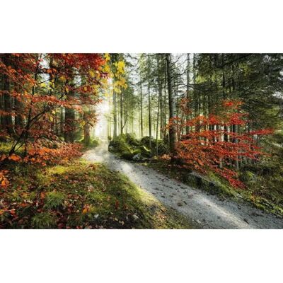 KOMAR Carta da Parati Lingue di Fuoco - 450x280 cm - Colorato & Facile da Installare KOMAR Carta da Parati Lingue di Fuoco - 450x280 cm - Colorato & Facile da Installare