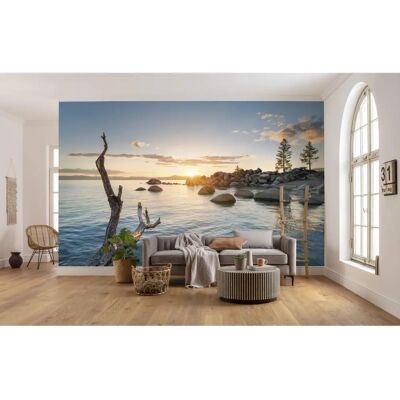 KOMAR Final Light Tapete - 450x280 cm, bunt, 1 Rolle KOMAR Final Light Tapete - 450x280 cm, bunt, 1 Rolle