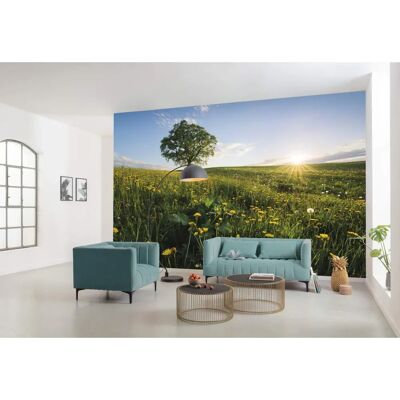 KOMAR Paisaje de Primavera Fotomural - 450x280 cm KOMAR Paisaje de Primavera Fotomural - 450x280 cm