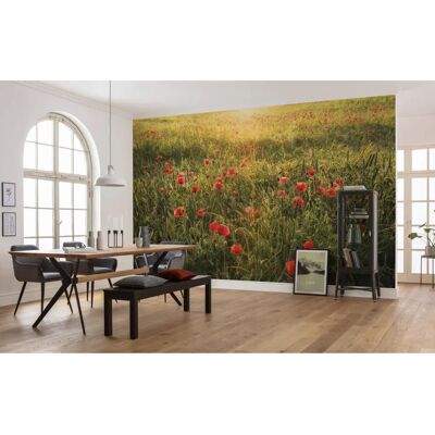 KOMAR Poppy World Tapete - 450x280cm, Grün & Rot KOMAR Poppy World Tapete - 450x280cm, Grün & Rot