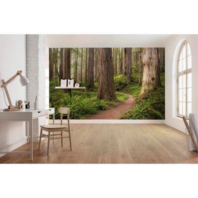 KOMAR Redwood Trail Tapete - Bunt, 450x280cm - Tapete KOMAR Redwood Trail Tapete - Bunt, 450x280cm - Tapete