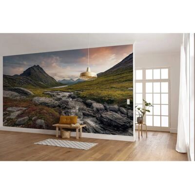 KOMAR Vinyltapete - Naturwald - 450x280 cm KOMAR Vinyltapete - Naturwald - 450x280 cm
