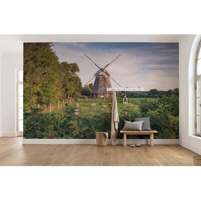 KOMAR Landschafts-Wandbild - 450x280 cm - Landschaftsszene Tapete KOMAR Landschafts-Wandbild - 450x280 cm - Landschaftsszene Tapete