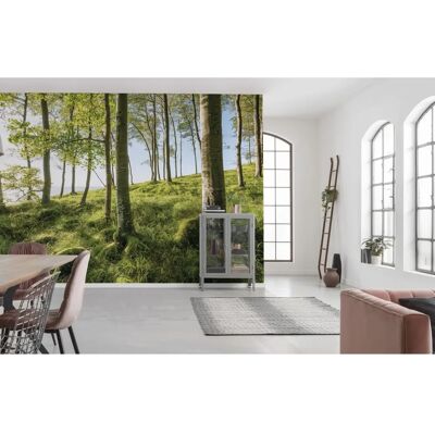 KOMAR Bunt Landschaft Wandbild - Wandbild KOMAR Bunt Landschaft Wandbild - Wandbild