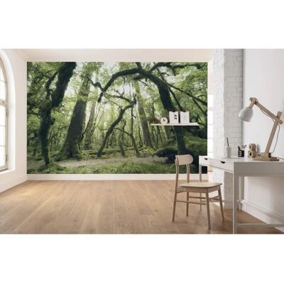 KOMAR Grüner Wald Fototapete - Wald, Strand - 450x280 cm KOMAR Grüner Wald Fototapete - Wald, Strand - 450x280 cm