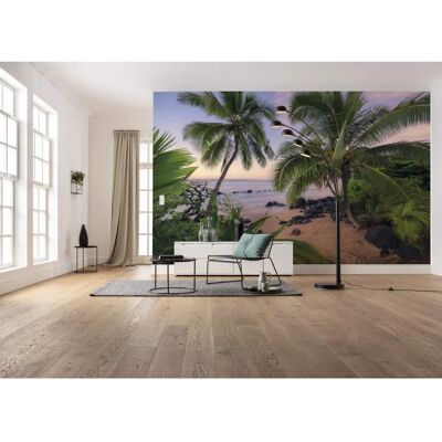 Papel pintado Hawaiian Dreams de KOMAR - 450x280 cm Paisaje Tropical Papel pintado Hawaiian Dreams de KOMAR - 450x280 cm Paisaje Tropical