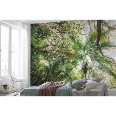 KOMAR Dschungel Tapete - 450x280cm - Umweltfreundlich, Einfach zu Montieren KOMAR Dschungel Tapete - 450x280cm - Umweltfreundlich, Einfach zu Montieren