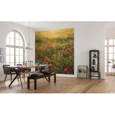 KOMAR Poppy World Tapete - Landschaft - Bunt - 250x280 cm KOMAR Poppy World Tapete - Landschaft - Bunt - 250x280 cm