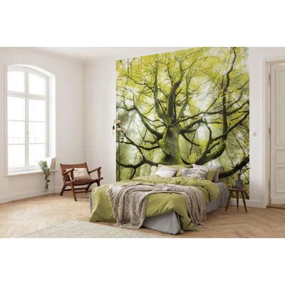 KOMAR Grüne Baum Wandbeklebung - 300x280cm - Wohnzimmer Dekor KOMAR Grüne Baum Wandbeklebung - 300x280cm - Wohnzimmer Dekor