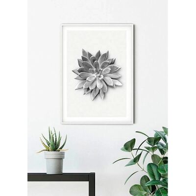 KOMAR Succulent Agave 30x40 - Mehrfarbig - Pflanzenblätter Poster KOMAR Succulent Agave 30x40 - Mehrfarbig - Pflanzenblätter Poster