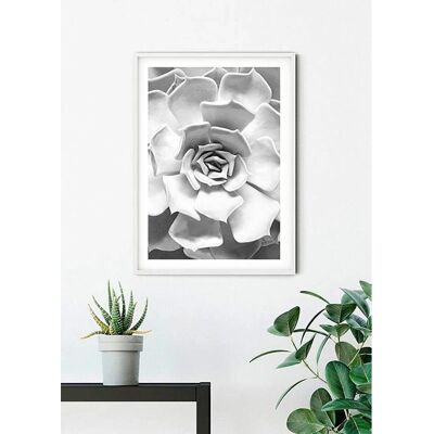 KOMAR Succulent Closeup Bunt Poster - Poster KOMAR Succulent Closeup Bunt Poster - Poster