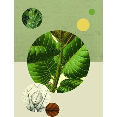 KOMAR Green Structure Bunt Poster - Innenbereich KOMAR Green Structure Bunt Poster - Innenbereich