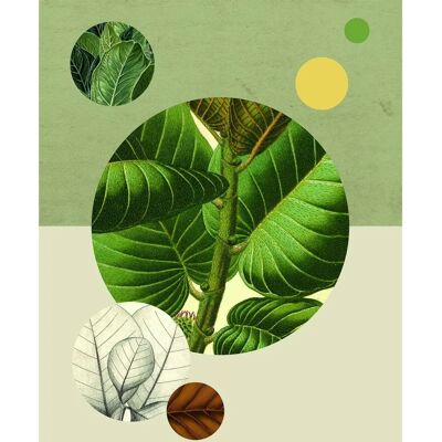 KOMAR Green Structure Bunt Poster - Innenwandkunst KOMAR Green Structure Bunt Poster - Innenwandkunst