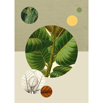 KOMAR Green Structure - 30x40 cm - bunt - Pflanzen-Blätter - Poster KOMAR Green Structure - 30x40 cm - bunt - Pflanzen-Blätter - Poster