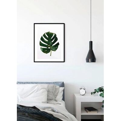 KOMAR Monstera Leaf Poster - Pflanzenblatt - 50cm x 40cm - Innenbereich KOMAR Monstera Leaf Poster - Pflanzenblatt - 50cm x 40cm - Innenbereich