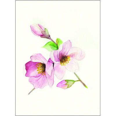 KOMAR Magnolia Breathe Rosa Poster - Poster KOMAR Magnolia Breathe Rosa Poster - Poster