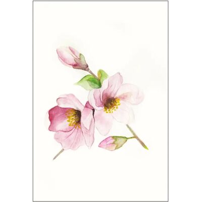 KOMAR Magnolia Breathe Rosa Blumen Wandbild - Poster KOMAR Magnolia Breathe Rosa Blumen Wandbild - Poster