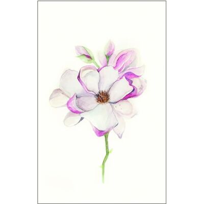 KOMAR Magnolia Blossom Rosa Rechteck Poster - Poster KOMAR Magnolia Blossom Rosa Rechteck Poster - Poster
