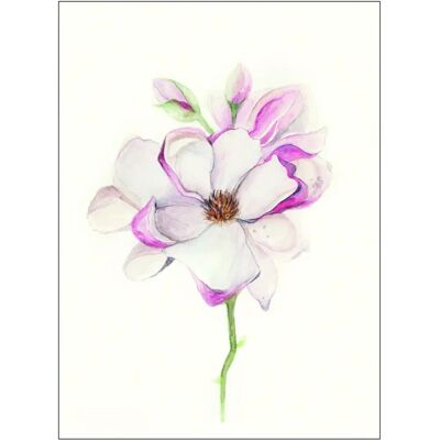 KOMAR Magnolia Blossom Rosa Poster - Poster KOMAR Magnolia Blossom Rosa Poster - Poster