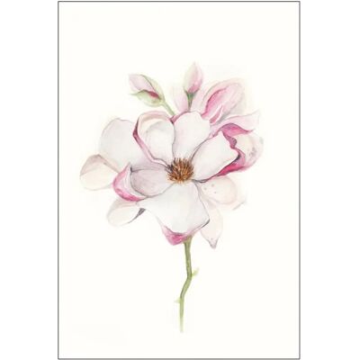 KOMAR Magnolia Blossom Rosa Poster - Poster KOMAR Magnolia Blossom Rosa Poster - Poster
